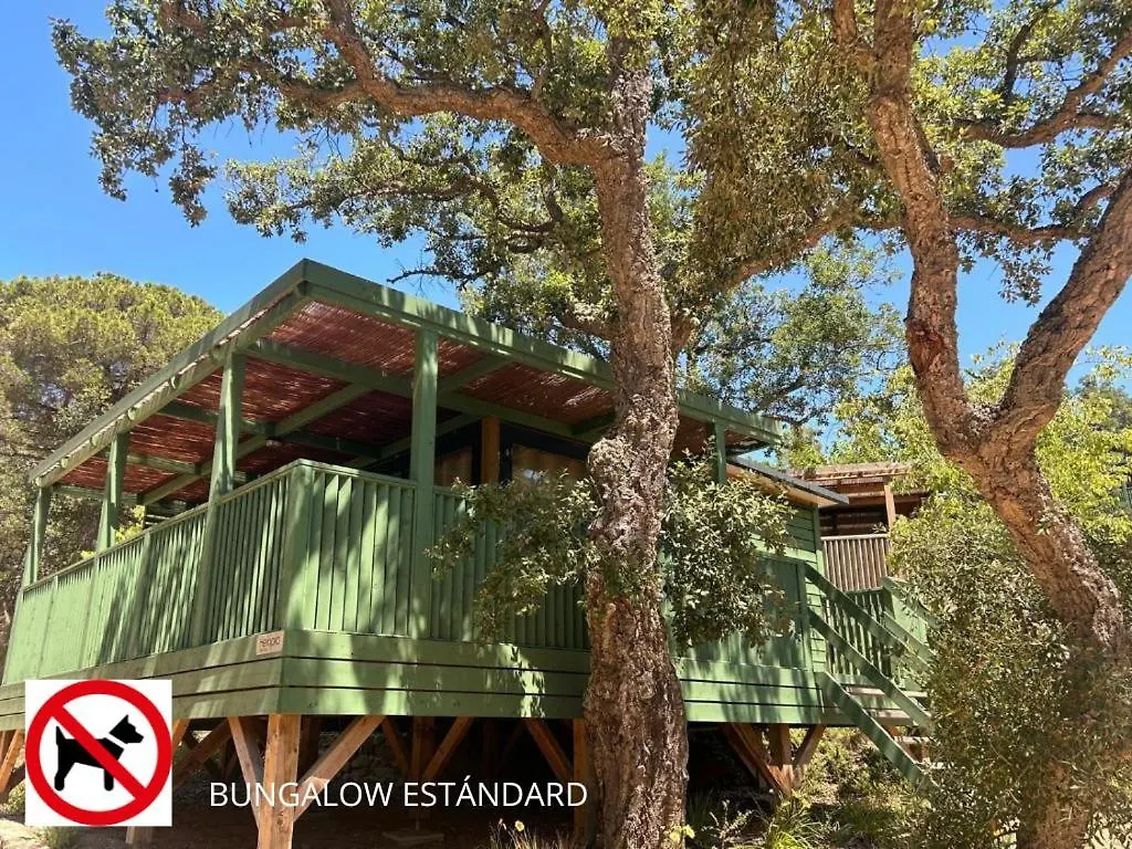 Camping Cala Pola Tossa de Mar 0*,